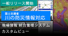 現場情報統合管理システム カスタムビュー